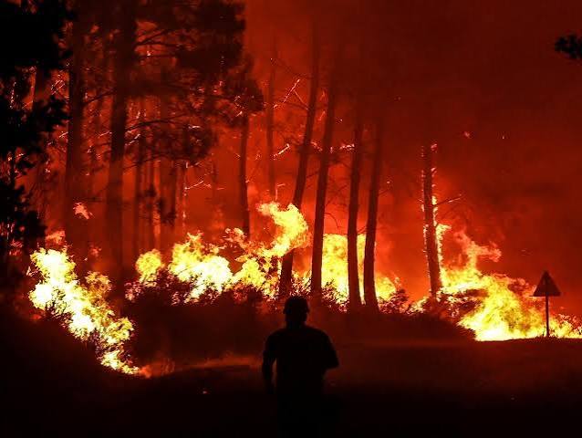 فرنسا توقف 32 مشتبها بهم في إشعال حرائق الغابات منذ بداية الصيف